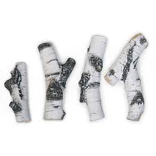 Grand Canyon Quaking Aspen Twig Set
