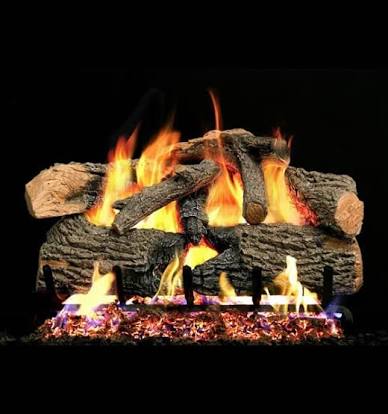 Charred Evergreen Oak